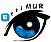 Imagen del logotipo de la Asociación Retina Murcia RETIMUR, compuesto por el dibujo de un ojo perfilado en color negro y con el iris de color azul. En la parte superior de este ojo, siguiendo su curvatura, está escrito el nombre RETIMUR en letras negras. La “R” inicial está escrita en blanco, dentro de un cuadrado con el fondo de color azul.