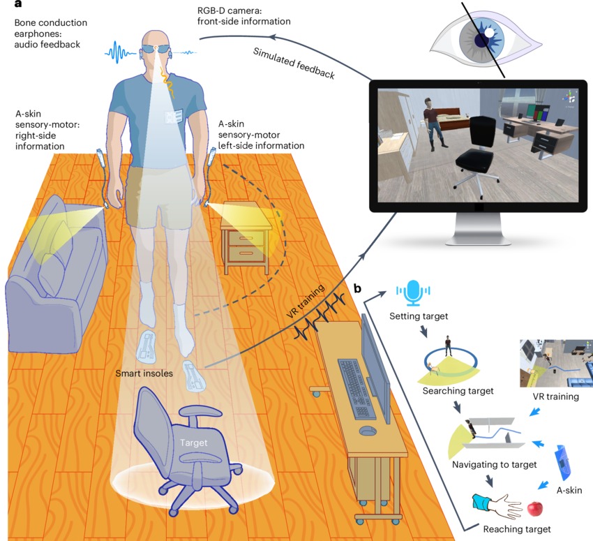 La imagen es una ilustración técnica explicativa del sistema de asistencia visual multimodal descrito en el paper de Nature Machine Intelligence, y muestra de forma clara cómo se integran visión artificial, audio, háptica y entrenamiento en un único ecosistema centrado en la persona. En la parte izquierda, aparece una persona caminando en un entorno interior (una habitación con sofá, mesa y una silla destacada como objetivo). El usuario lleva: • Gafas con cámara RGB-D, situadas a la altura de los ojos, que capturan información frontal del entorno. • Auriculares de conducción ósea, indicados mediante ondas sonoras, que proporcionan retroalimentación auditiva sin bloquear el oído. • Pieles electrónicas hápticas (A-skin) colocadas en ambas muñecas, diferenciadas para el lado izquierdo y derecho, que transmiten información sensorial-motora mediante vibración. • Plantillas inteligentes en los zapatos, señaladas como “smart insoles”, encargadas de registrar la marcha y el movimiento del usuario. En el suelo se representa el campo de percepción artificial, con zonas sombreadas que indican cómo el sistema detecta obstáculos y calcula trayectorias hacia un objetivo concreto, en este caso una silla marcada como “target”. Una línea discontinua muestra la ruta óptima que el sistema sugiere para llegar hasta ella. En la parte superior derecha, se ve un monitor que representa la plataforma de entrenamiento en realidad virtual. En la pantalla aparece un avatar dentro de una habitación virtual muy similar al entorno real, lo que ilustra cómo el sistema permite entrenar en VR antes de enfrentarse al mundo físico. En la parte inferior derecha, un diagrama por pasos resume el proceso completo de uso: 1. Setting target: el usuario define el objetivo mediante voz. 2. Searching target: el sistema localiza el objeto. 3. Navigating to target: guía al usuario mediante audio y vibración. 4. Reaching target: asistencia háptica fina para alcanzar y agarrar el objeto.